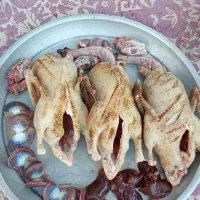 اردک و غاز محلی مرغ و خروس کبابی|حیوانات مزرعه|رشت, پل تالشان|دیوار