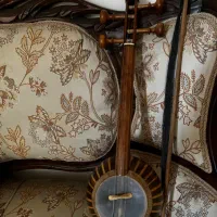 کمانچه همایون