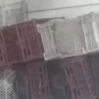 سبد مناسب انگور و سر درختی