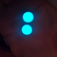 نگین شب چراغ مشکی یا شب نما