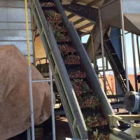 فروش-باغ-پسته-در-رفسنجان