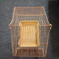 قفس|لوازم جانبی حیوانات|خمینی‌شهر, |دیوار