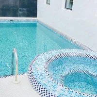 بلیت استخرپازیریک دلفین آب منطقه+ یک رایگان(روشنی)