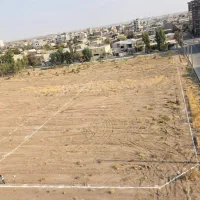 مفقودی مدارک شناسایی