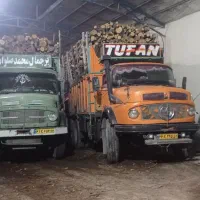 خرید و فروش چوب هیزمی باغی