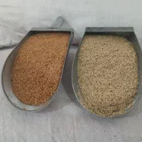 کنجد ارده گیری ،کنجد قنادی ،کنجد روغنگیری|عمده‌فروشی|اردکان, |دیوار