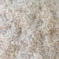 برنج فجر سوزنی|خوردنی و آشامیدنی|خان ببین, |دیوار