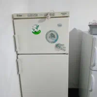 یخچال فیلور