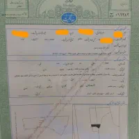 ۱۵۷ متر بر اتوبان لیسار|فروش زمین و ملک کلنگی|لیسار, |دیوار