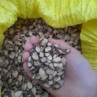 بذرهندوانه|خوردنی و آشامیدنی|گنبد کاووس, |دیوار