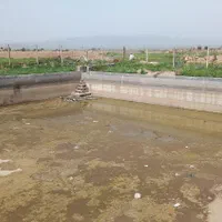 زمین کشاورزی گلخانه زعفران و....|فروش زمین و ملک کلنگی|مشهد, امام رضا (ع)|دیوار