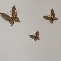 تخم مرغ پز و دکوری نونو