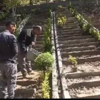 ۱۰۰۰ متر روستا ایول|فروش زمین و ملک کلنگی|کیاسر, |دیوار