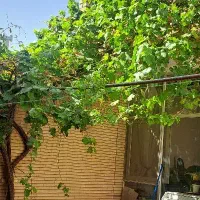 رهن و اجاره منزل دربست در رضایی جنوبی