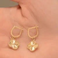 گمشده یک لنگه گوشواره