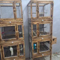 قفس مناسب انواع طوطی،کبوتر،فنچ وقناری۳ طبقه نراد