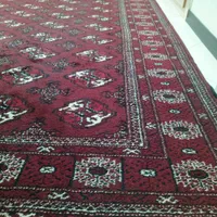 فرش دستباف ترکمن|فرش|گرگان, |دیوار