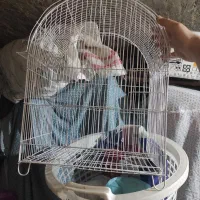 قفس پرنده|لوازم جانبی حیوانات|اصفهان, رکن الدوله غربی|دیوار