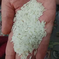 برنج هاشمی