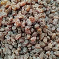 کشمش بیدونه ارگانیک و تمیز آفتاب خشک