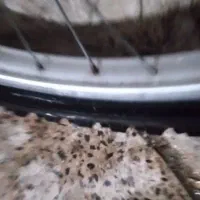 دوچرخه ۲۶ نو|دوچرخه، اسکیت، اسکوتر|صفادشت, |دیوار