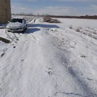 پرشیا.96در.حد|خودرو سواری و وانت|تاکستان, |دیوار