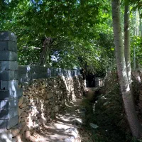 زمین باغ  ۶۵۰ متری فروشی در روستای کشه رایان نطنز|فروش زمین و ملک کلنگی|اصفهان, شهرستان|دیوار