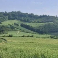 فروش-زمین-کشاورزی