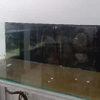 اکواریوم ریملس