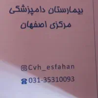 سگ پا کوتا|سگ|یاسوج, |دیوار