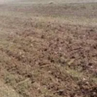 حدود نیم هکتار زمین باآب. سند دار حاشیه جاده