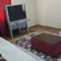 آپارتمان یکخوابه همکف پارکینگ دار|اجارهٔ آپارتمان|تهران, دروازه شمیران|دیوار