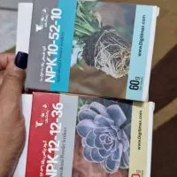 گل. و گیاه|گل و گیاه طبیعی|محلات, |دیوار