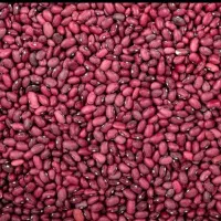 لوبیا قرمز تازه