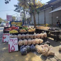 کارگر ساده میوه فروشی