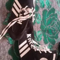 کفش بوکس