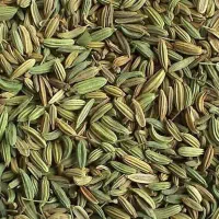 خرید و فروش زیره سبز