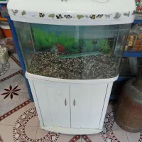 آکواریم