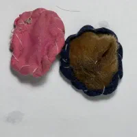 فال بصورت ویدیو و تلفنی هست بالا ویدیو فال گذاشتم|خدمات پذیرایی، مراسم|تبریز, |دیوار