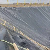 تولید کننده ورق ژئوممبران استخر کشاورزی در خراسان|خدمات پیشه و مهارت|مشهد, هفت تیر (آب و برق)|دیوار