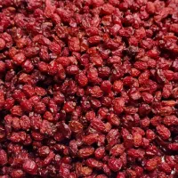 زرشک پفکی پاک‌شده مستقیم از کشاورز (۵۰۰ گرم)