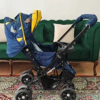 کالسکه دلیجان|کالسکه و لوازم جانبی|مشهد, عبادی|دیوار