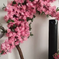 درختچه شکوفه
