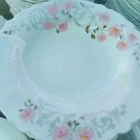 ۴ دست خورشت و۱ دست میوه آکروپال نو وکیوم