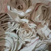 گونی آردی