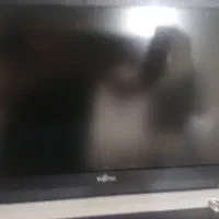 لب تاپ مفت|رایانه همراه|مشهد, فرهنگ|دیوار