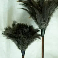 گردگیر شترمرغ