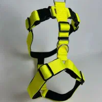 پخش قلاده و اکسسوری حیوانات