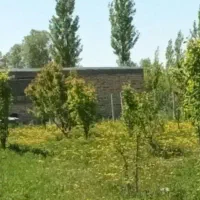 باغ فروشی معاوضه با ماشین