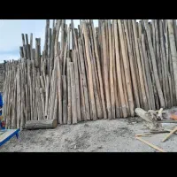 باغبان و درختکاری